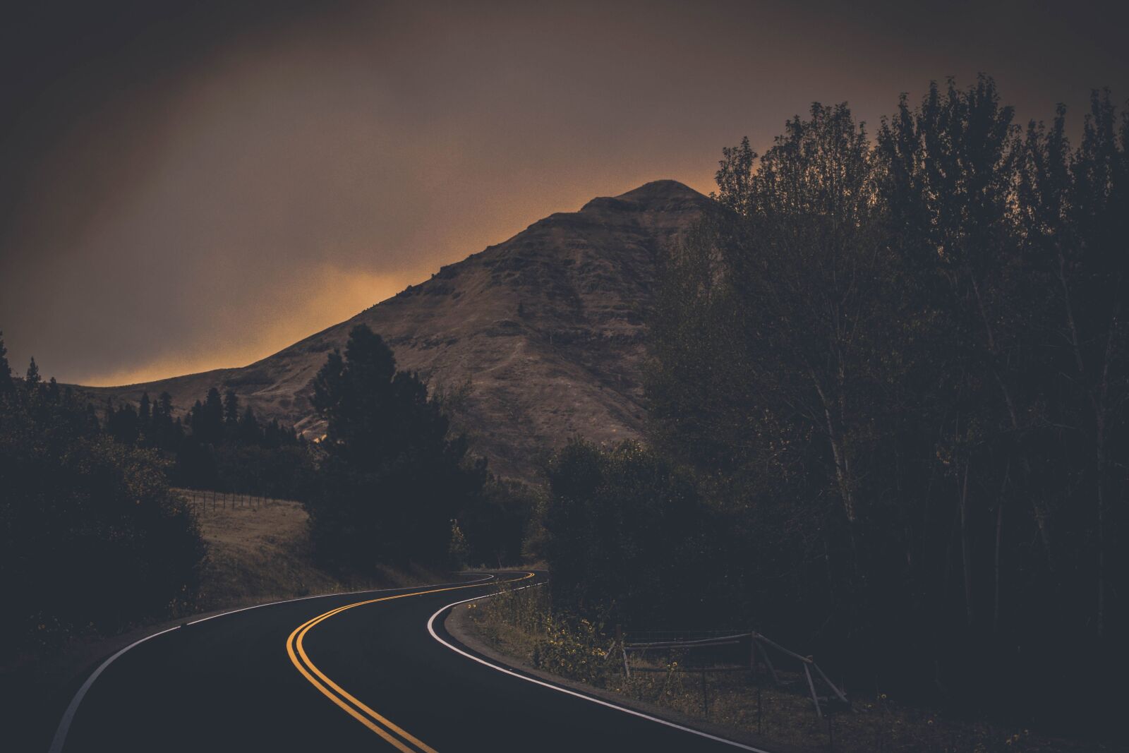 Nikon D5200 sample photo. Evening, fog, grass, highway photography