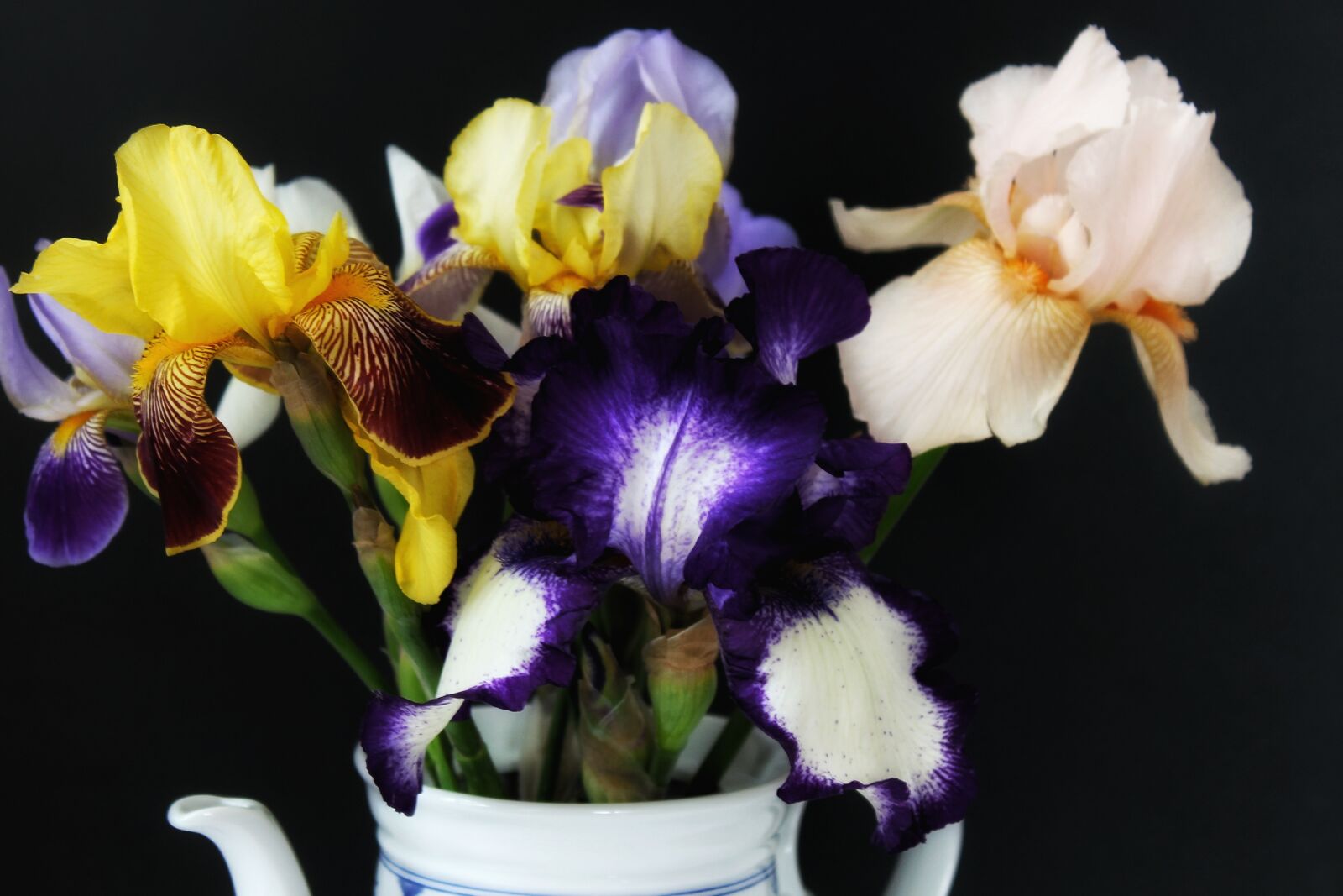 Canon EOS 1300D (EOS Rebel T6 / EOS Kiss X80) sample photo. Iris, schwertliliengewaechs, vase photography