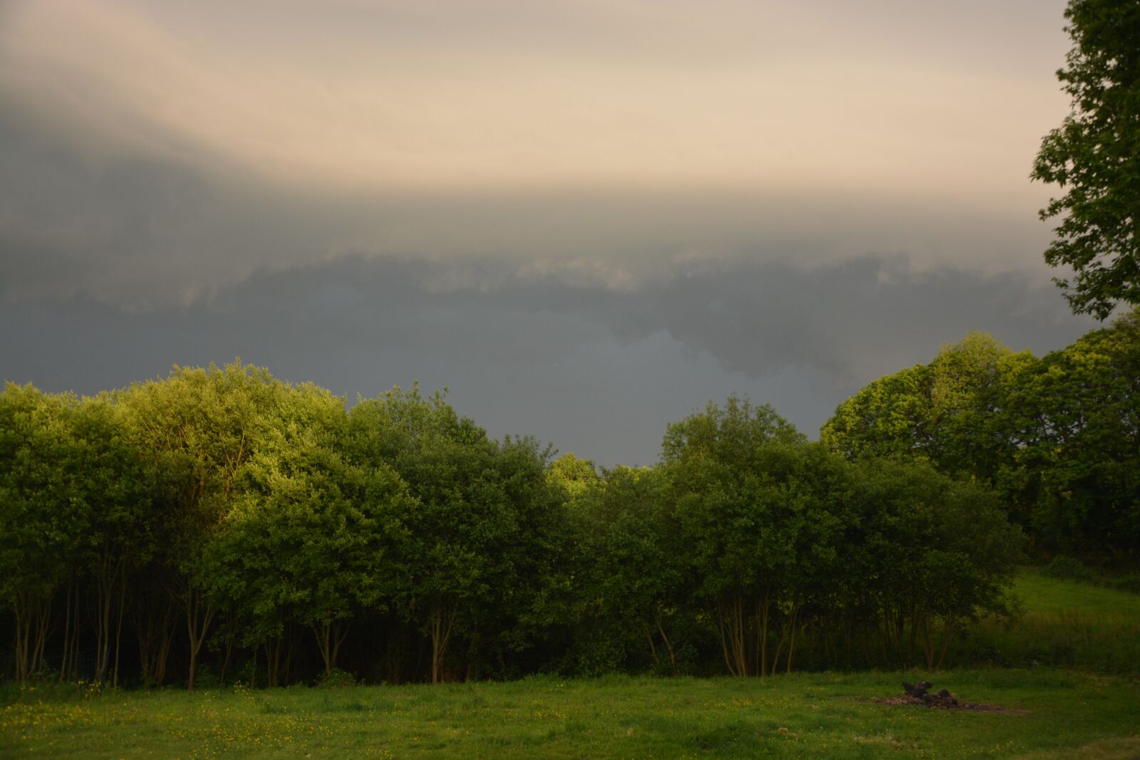 Nikon D5200 sample photo. Trees, landscape stormy, cloudy photography