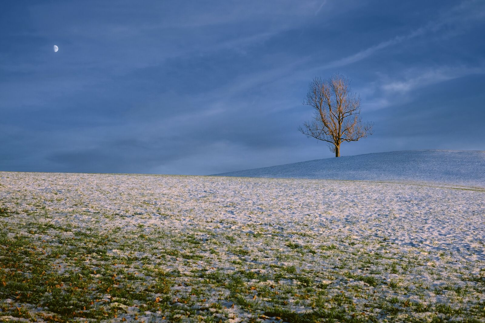 Fujifilm X-T20 sample photo. Nature, landscape, snow photography