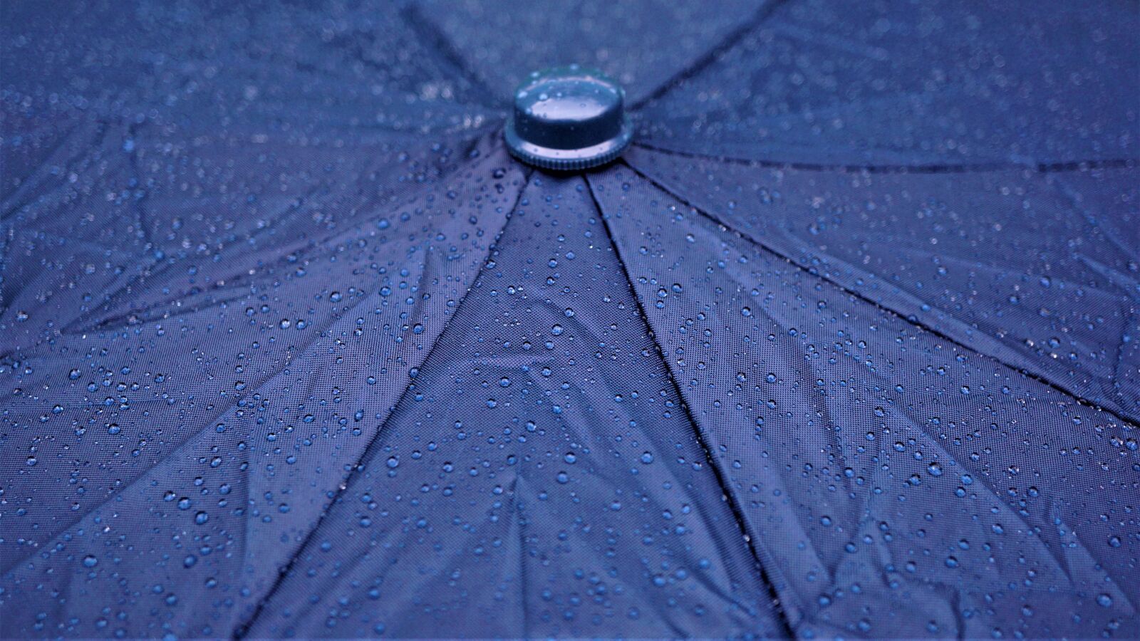 Sony E 30mm F3.5 Macro sample photo. Rain, umbrella, raindrops photography