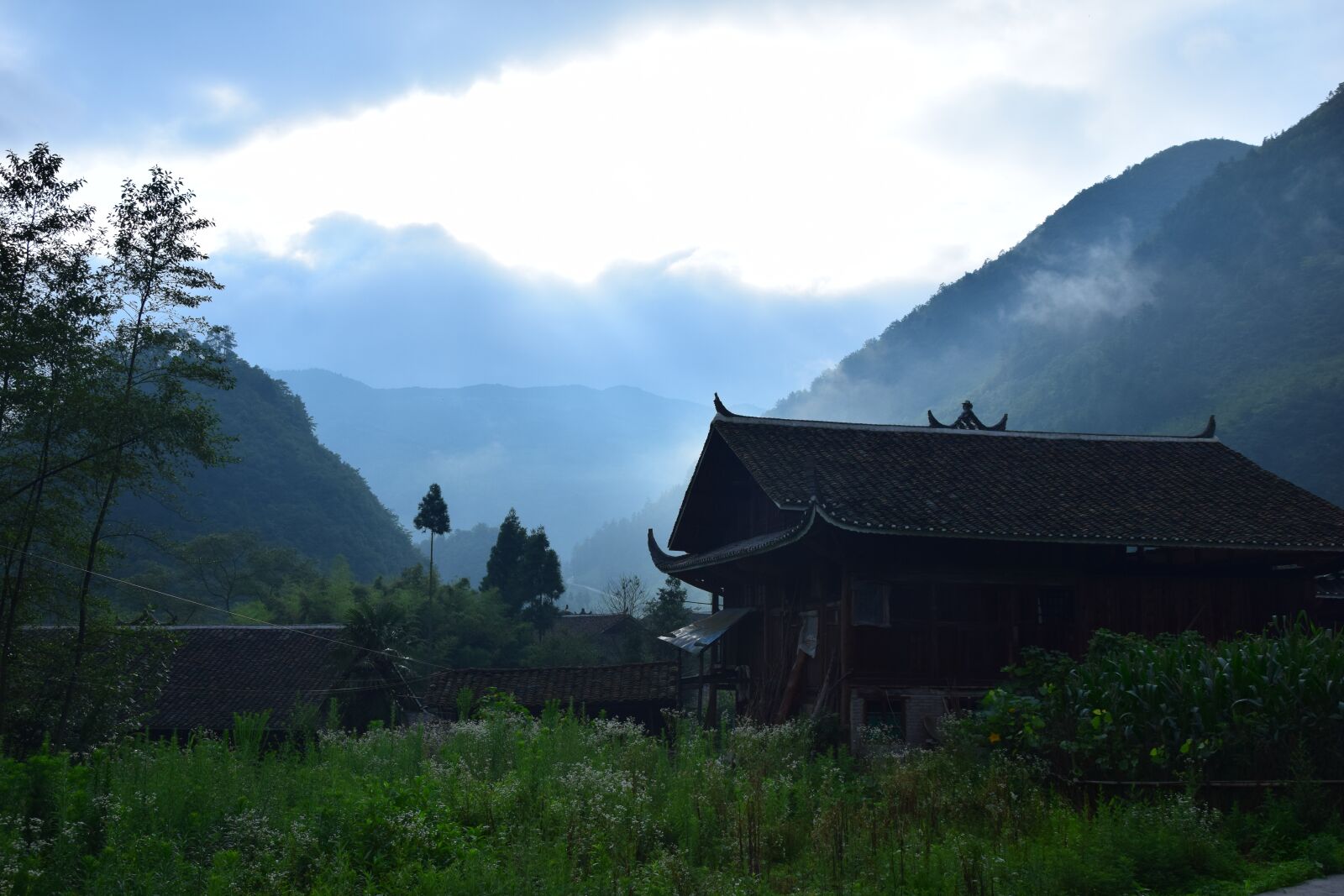 Nikon D5300 sample photo. The scenery, sunshine, the photography