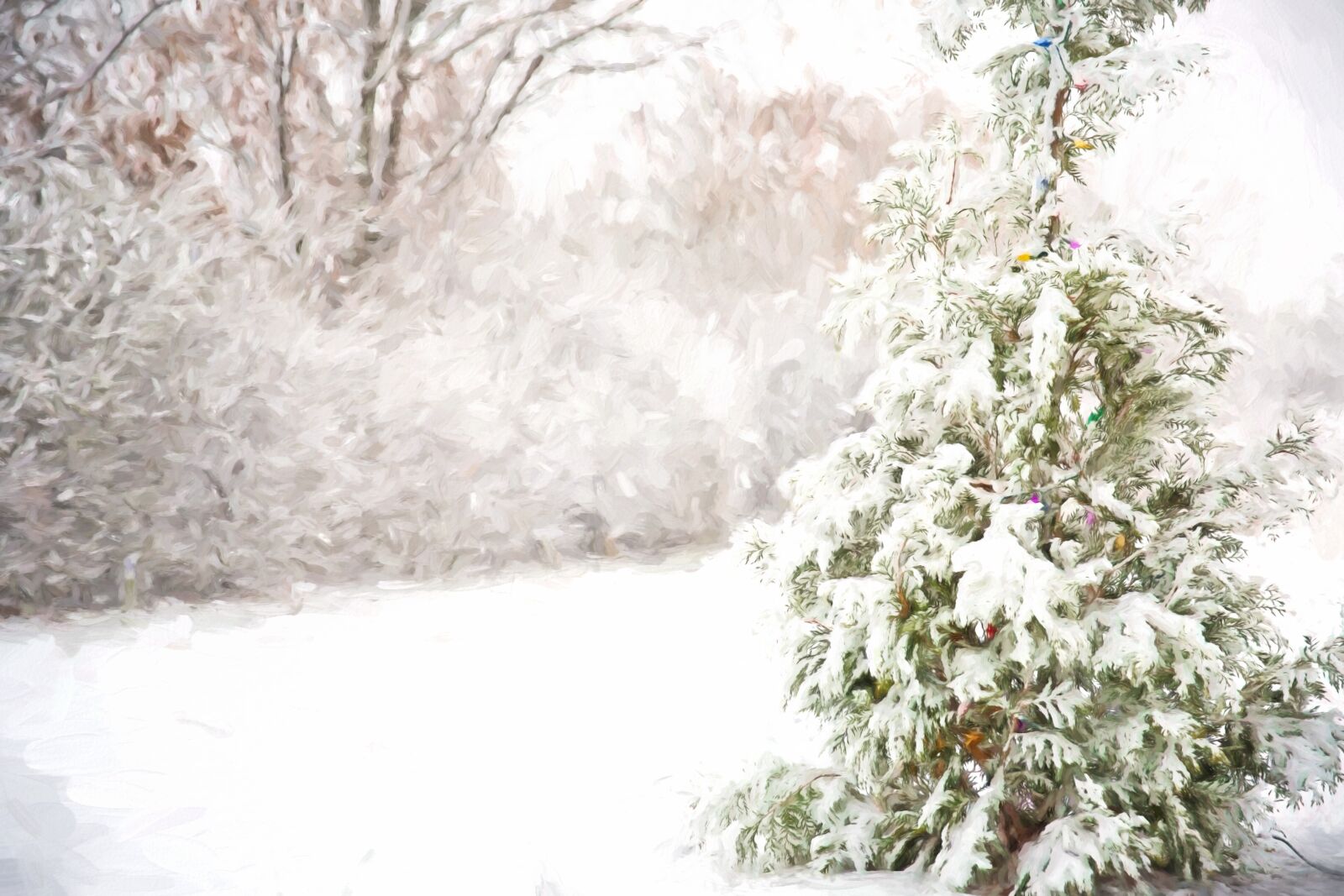 Canon EF 24-70mm F2.8L II USM sample photo. Pine tree, snow, snowy photography
