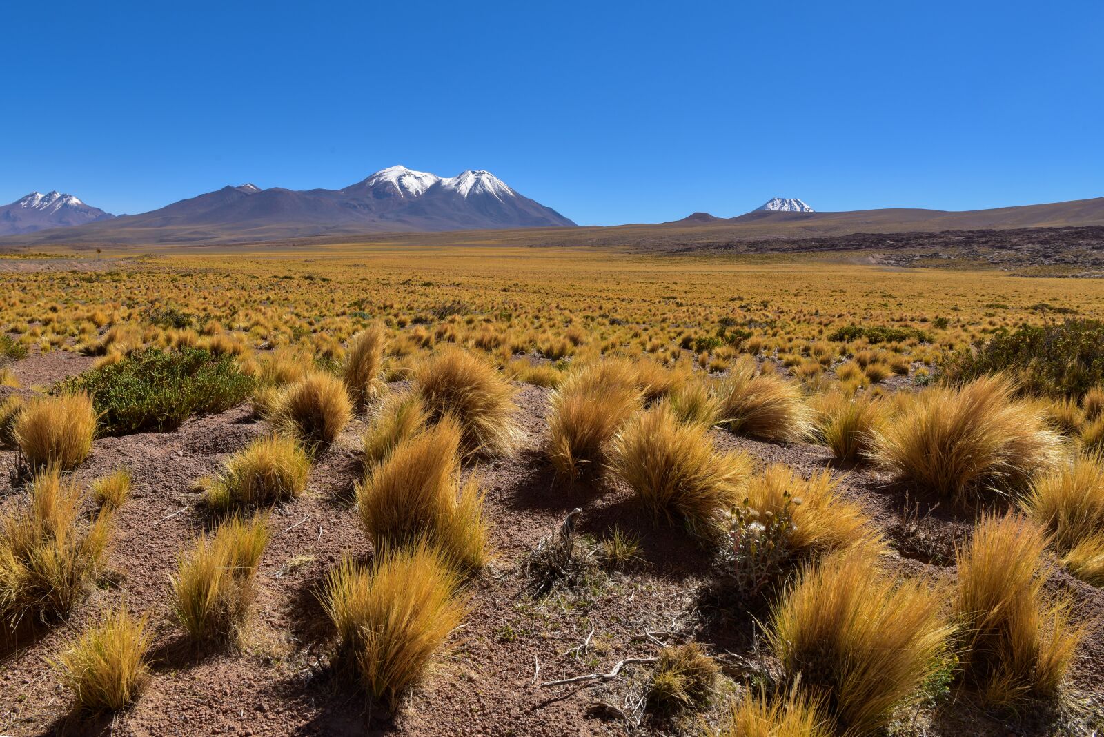 Nikon D810 sample photo. Chile, ande, landscape photography