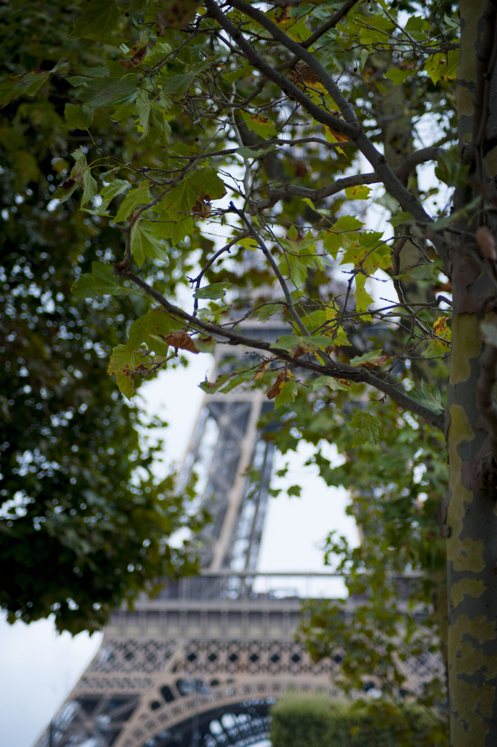 Nikon D700 + Tamron SP 70-300mm F4-5.6 Di VC USD sample photo. Eiffel, tower, paris photography