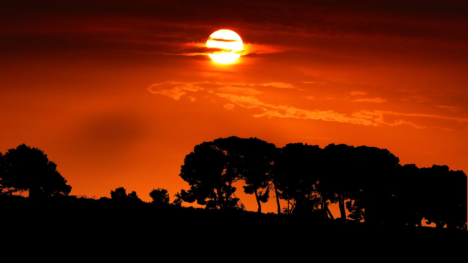 Panasonic Lumix DMC-FZ200 sample photo. Sunset, nature, landscape photography