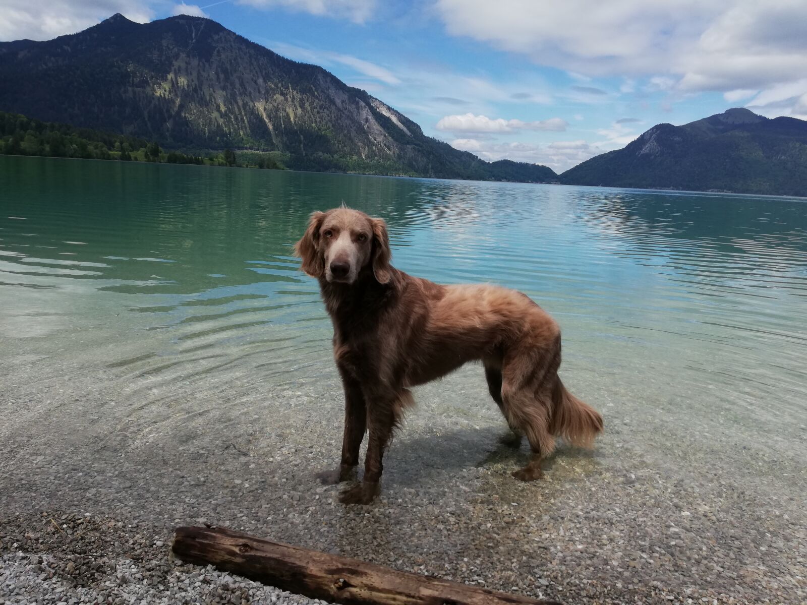 HUAWEI P20 lite sample photo. Lake, walchensee, bavaria photography