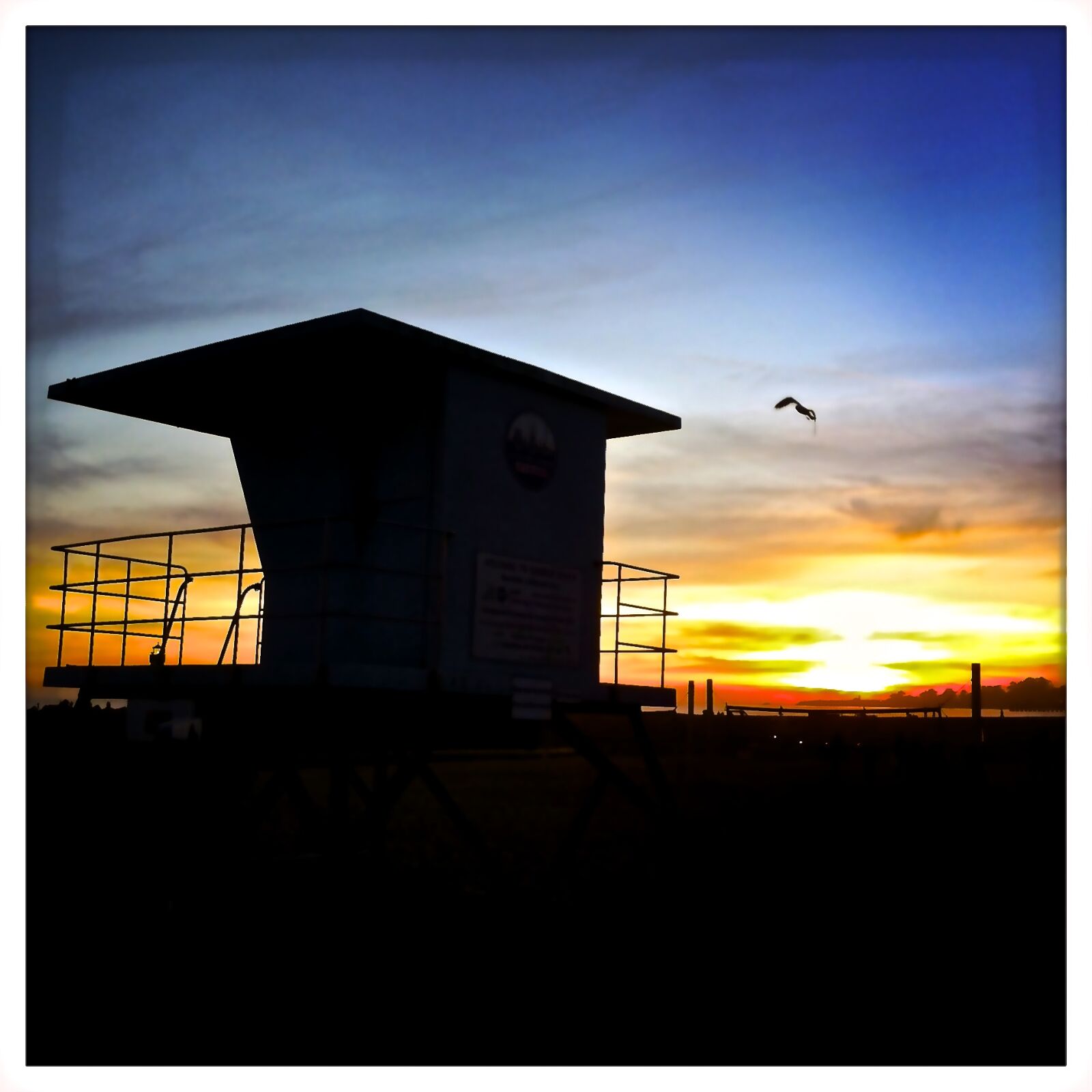 Hipstamatic 272 sample photo. Bird, clouds, dark, dawn photography
