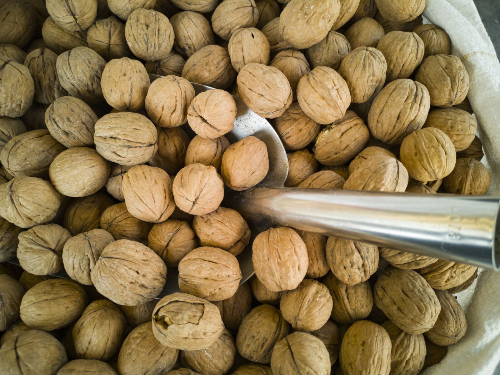 HUAWEI CLT-L09 sample photo. Walnut, dried fruits and photography