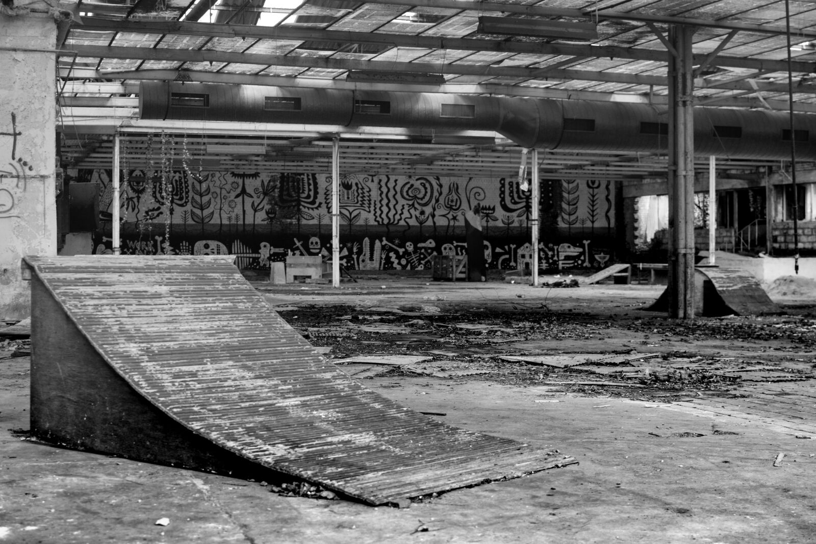 Nikon D5300 sample photo. Skating, disaster, factory photography