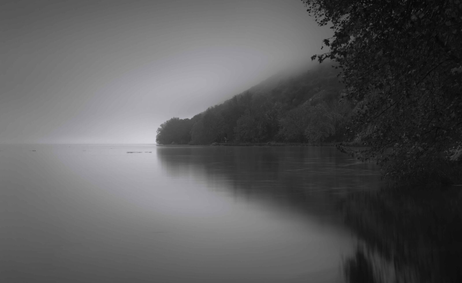 Tamron SP 24-70mm F2.8 Di VC USD sample photo. Lake, trees, haze photography
