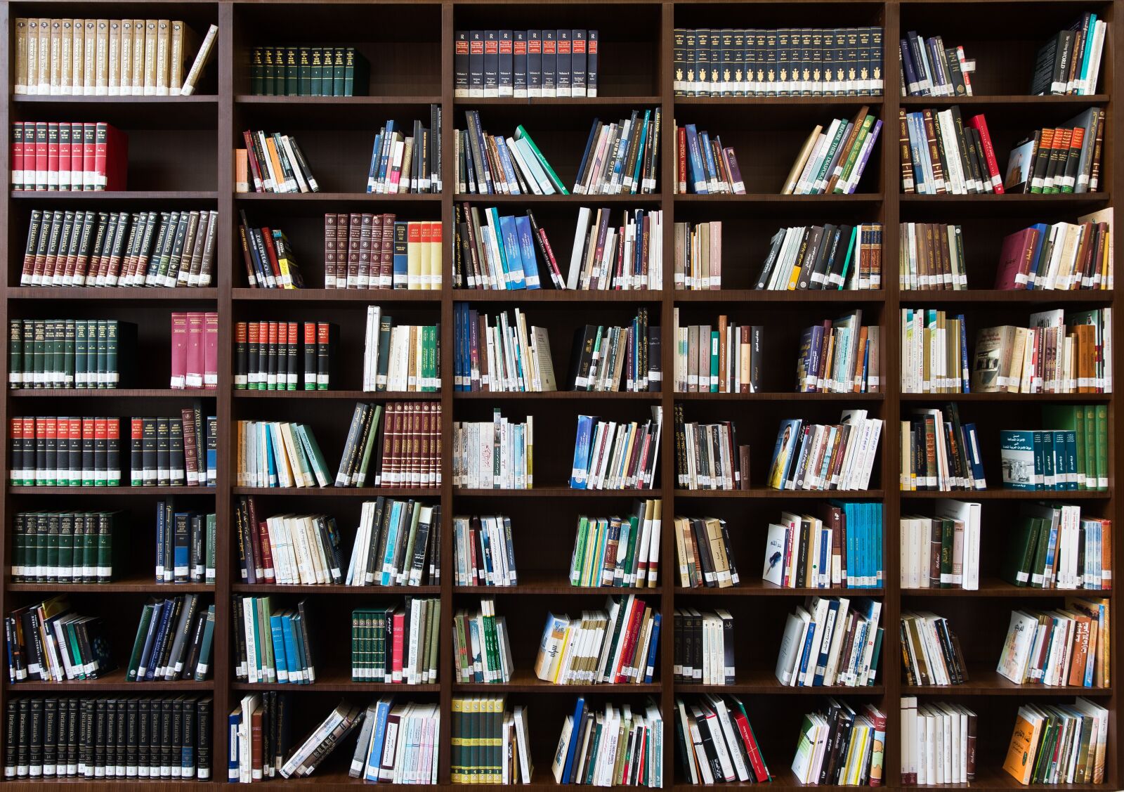 Canon EOS-1D X sample photo. Books, bookshelf, library photography