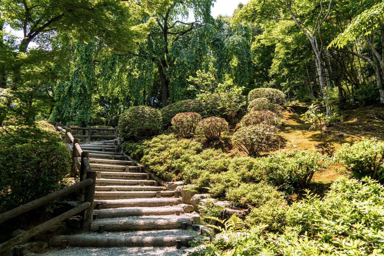 Sony a7R II + Sony FE 24-240mm F3.5-6.3 OSS sample photo. Arashiyama, japan stairs, path photography