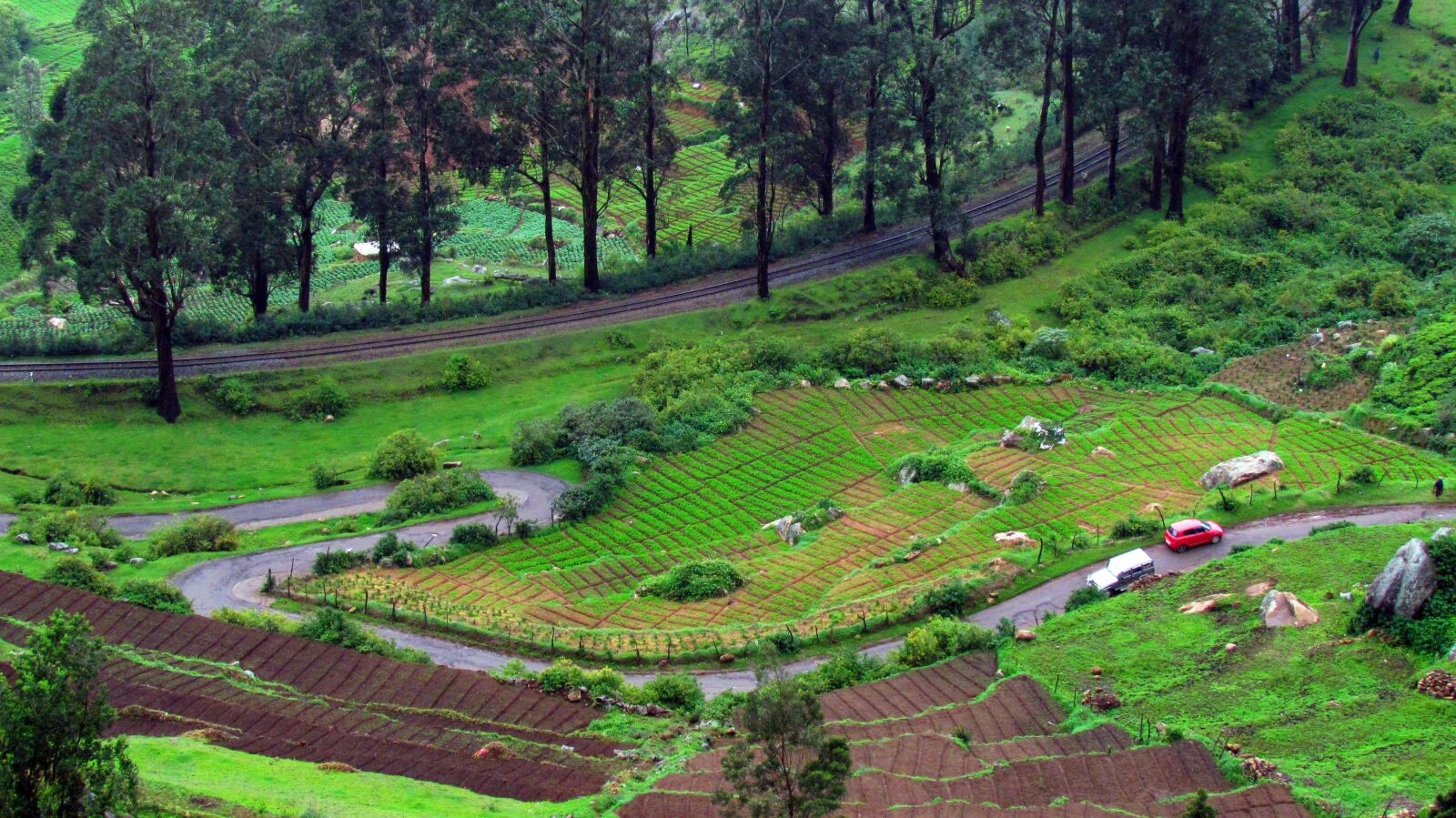 Canon PowerShot SX30 IS sample photo. Ooty, green, mountain photography