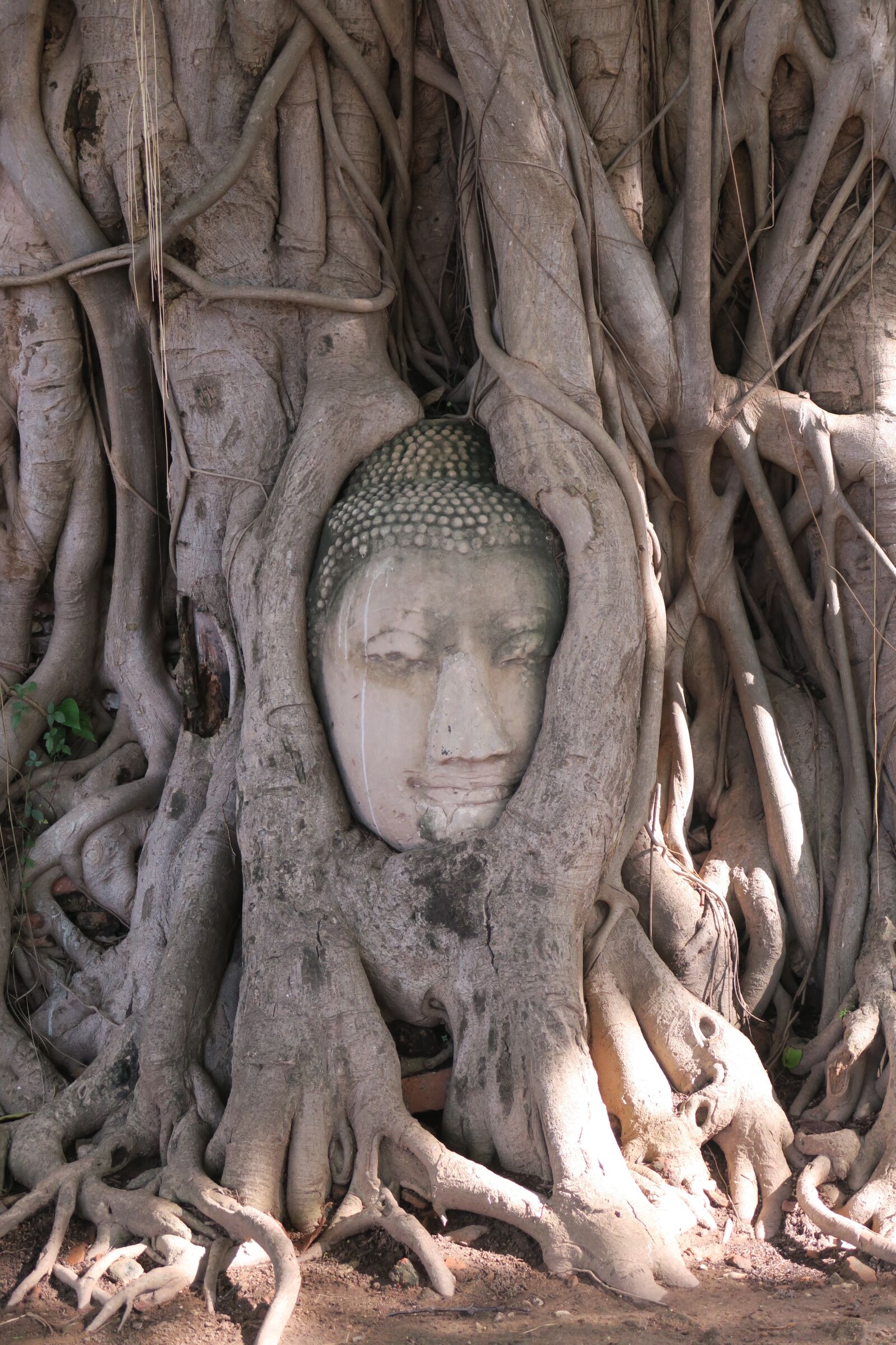 Canon PowerShot G7 X sample photo. Ayutthaya, thailand, buddha photography