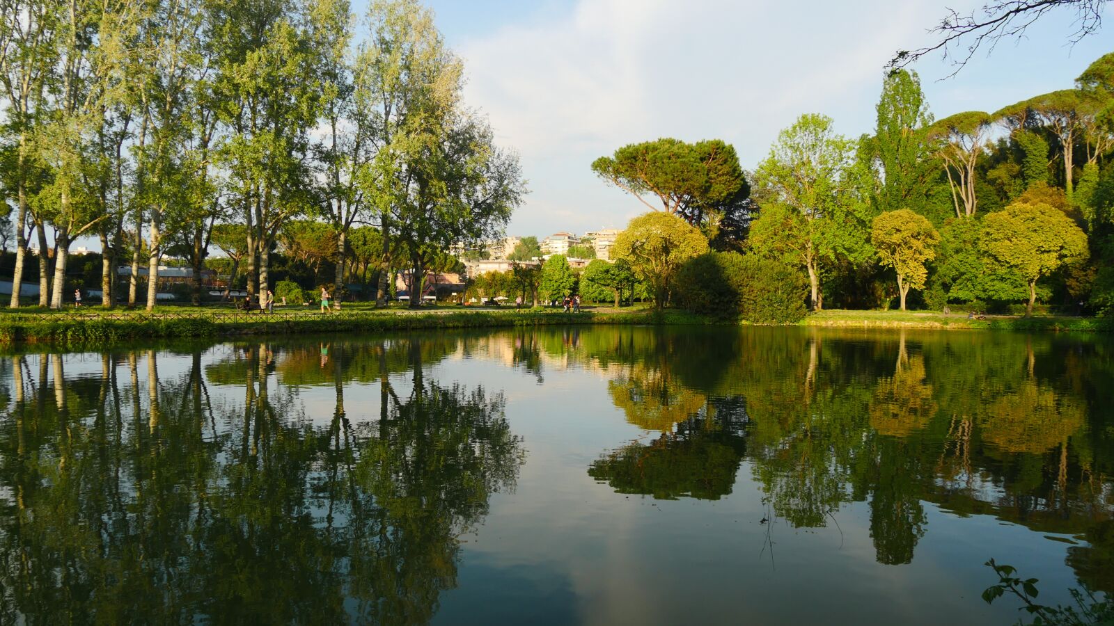Panasonic Lumix DMC-GH4 sample photo. Fresh, tree, reflection photography