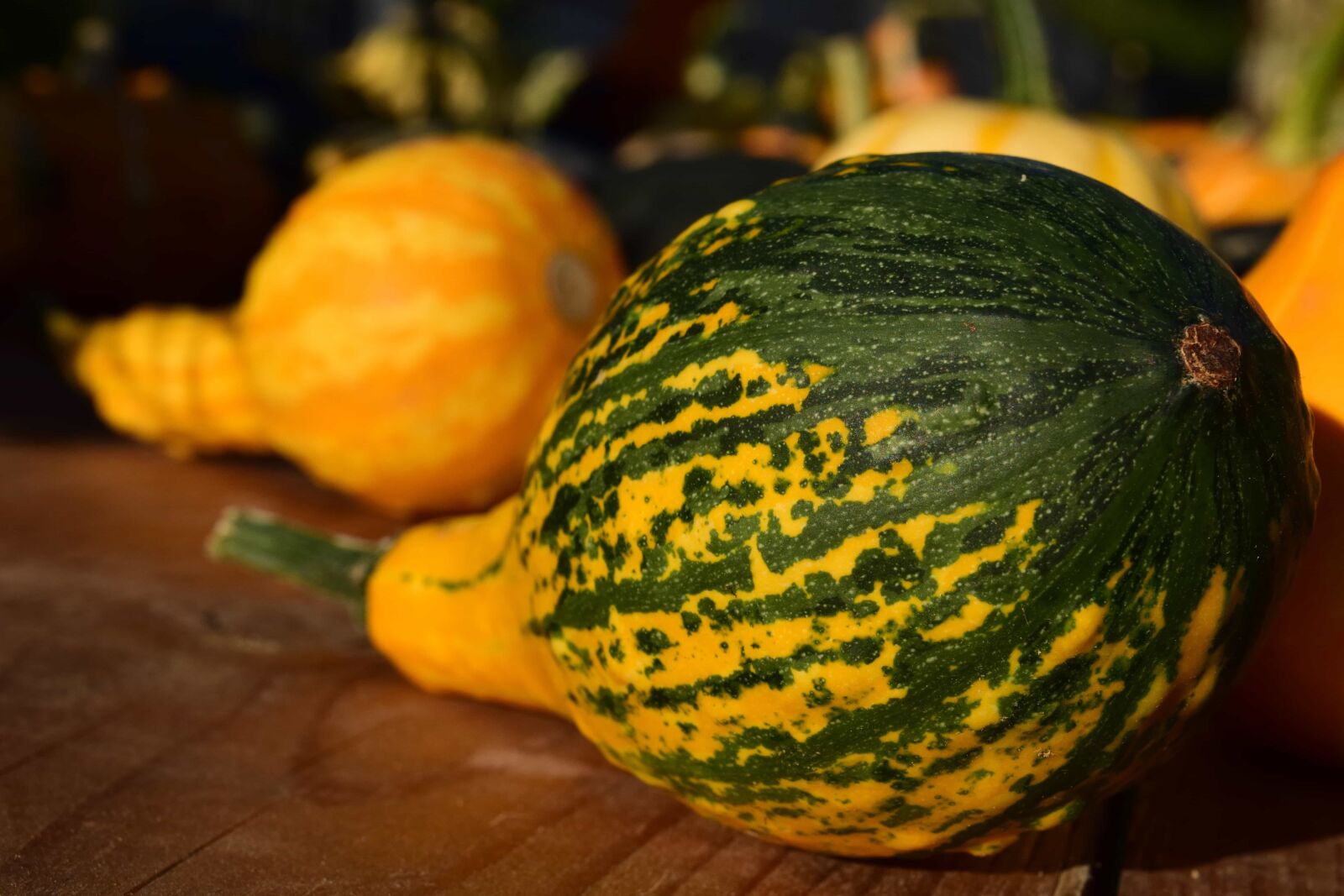 Nikon D3300 sample photo. Nature, pumpkin, food, vegetable photography