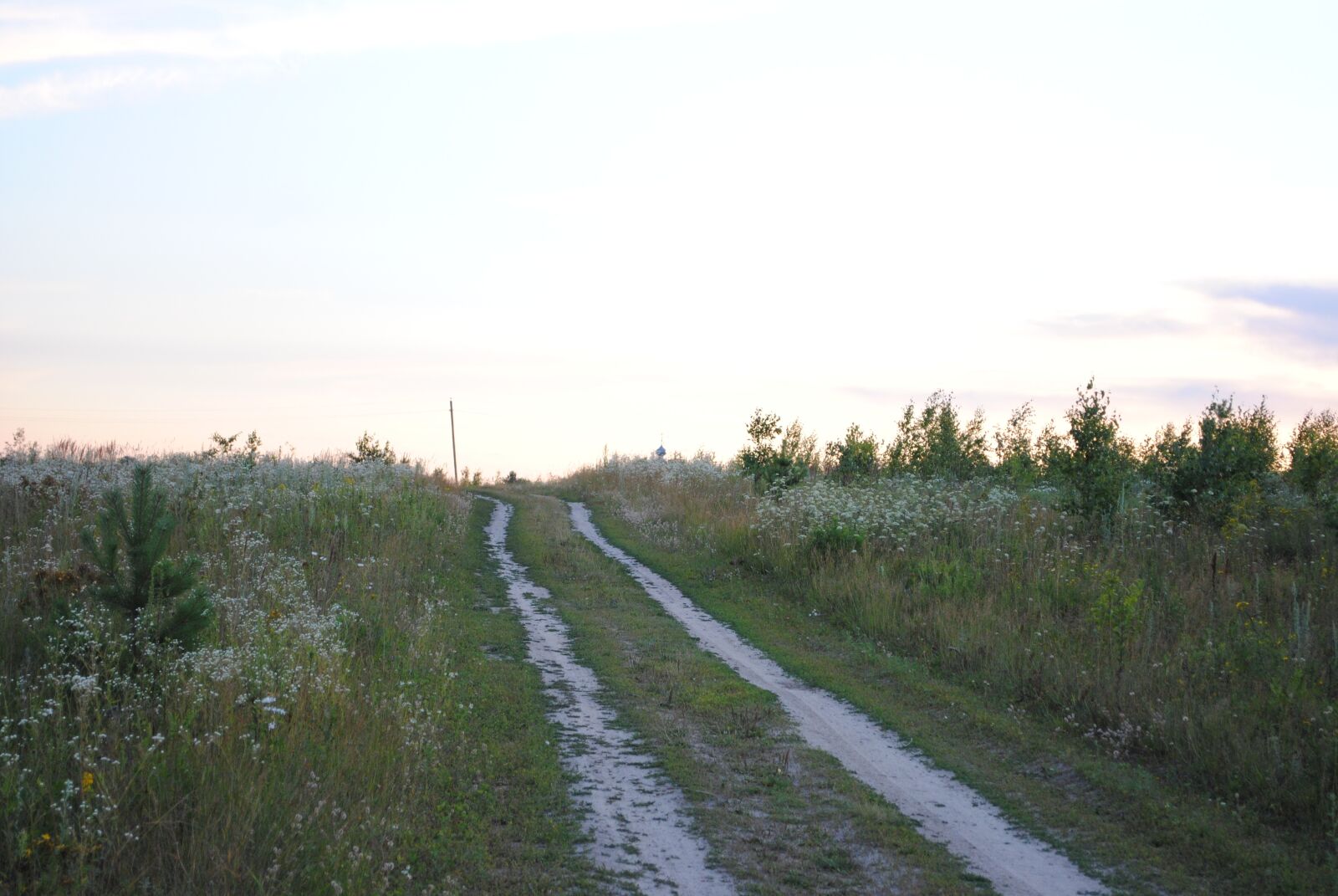 Nikon D3000 sample photo. поле, лес, дорога photography