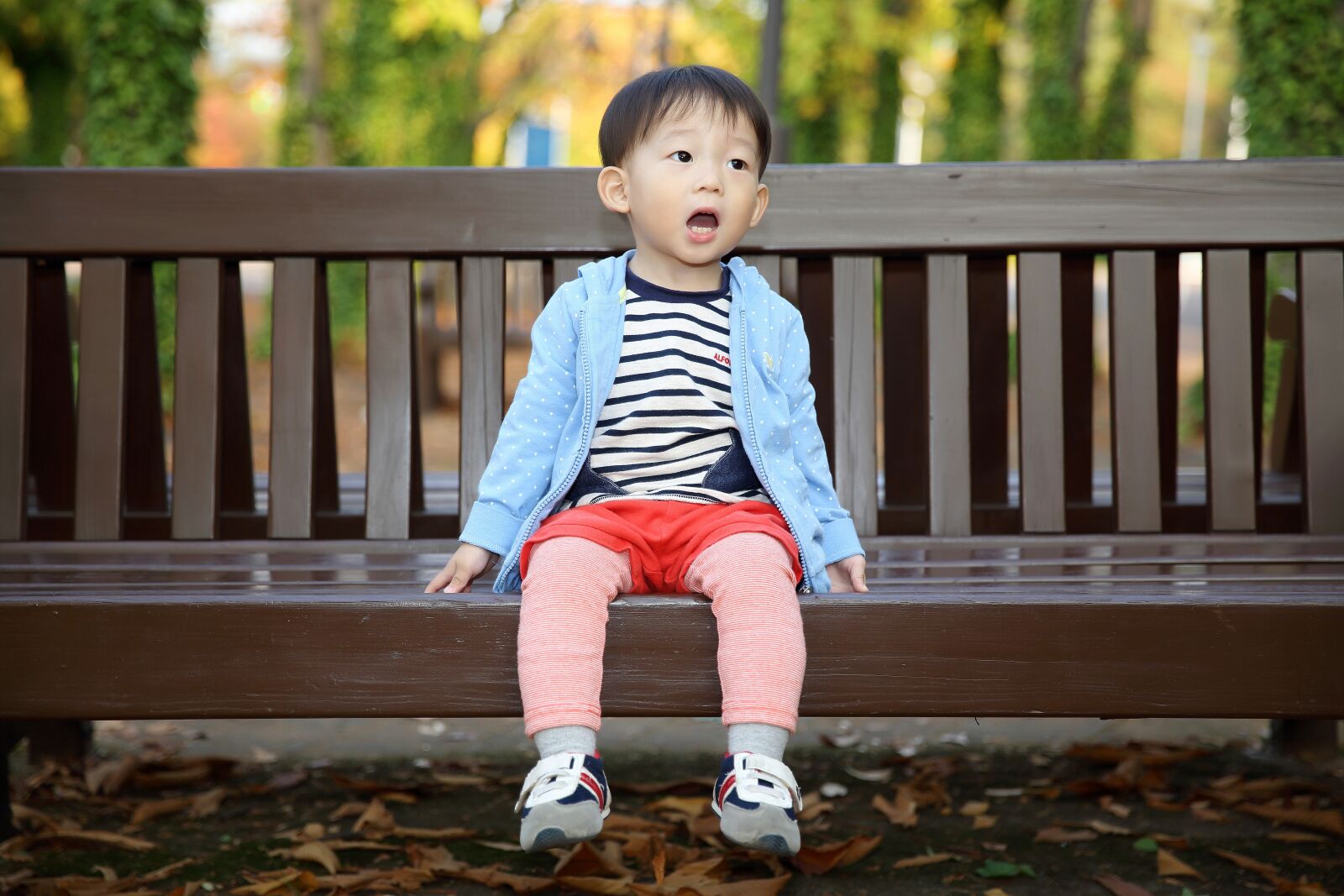 Canon EF 24-70mm F2.8L II USM sample photo. Baby, song, bench photography