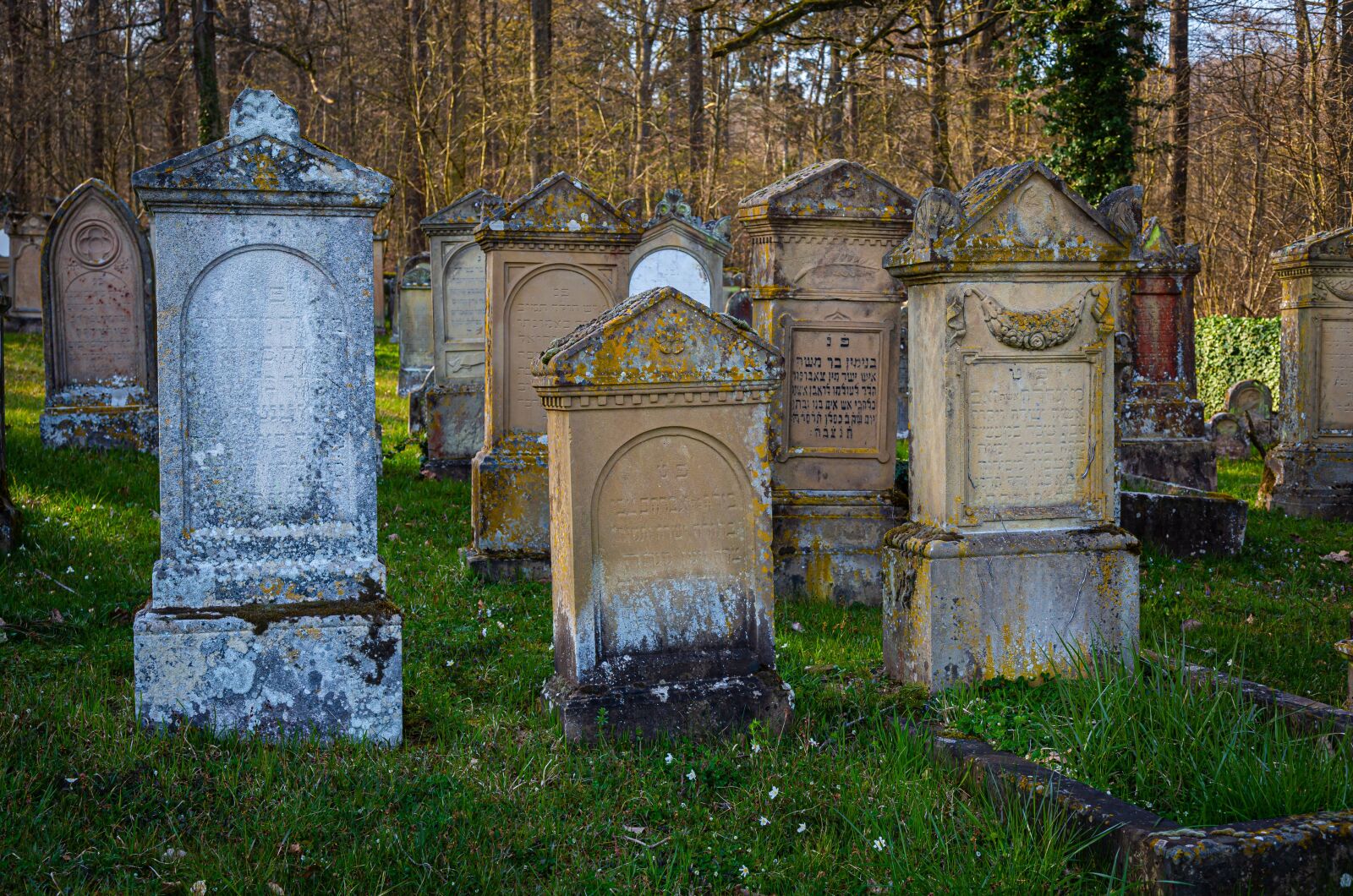 Canon EF 24-105mm F4L IS USM sample photo. Cemetery, jewish, judaism photography