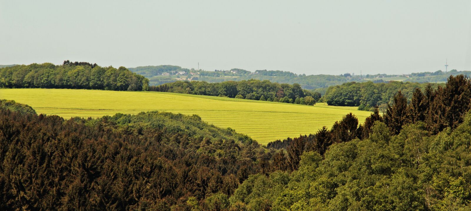 Canon EOS 100D (EOS Rebel SL1 / EOS Kiss X7) sample photo. Landscape, forest, meadow photography