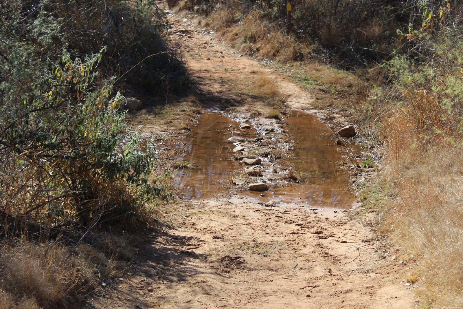 Canon EOS 1200D (EOS Rebel T5 / EOS Kiss X70 / EOS Hi) sample photo. Dusty, road, gravel, off photography