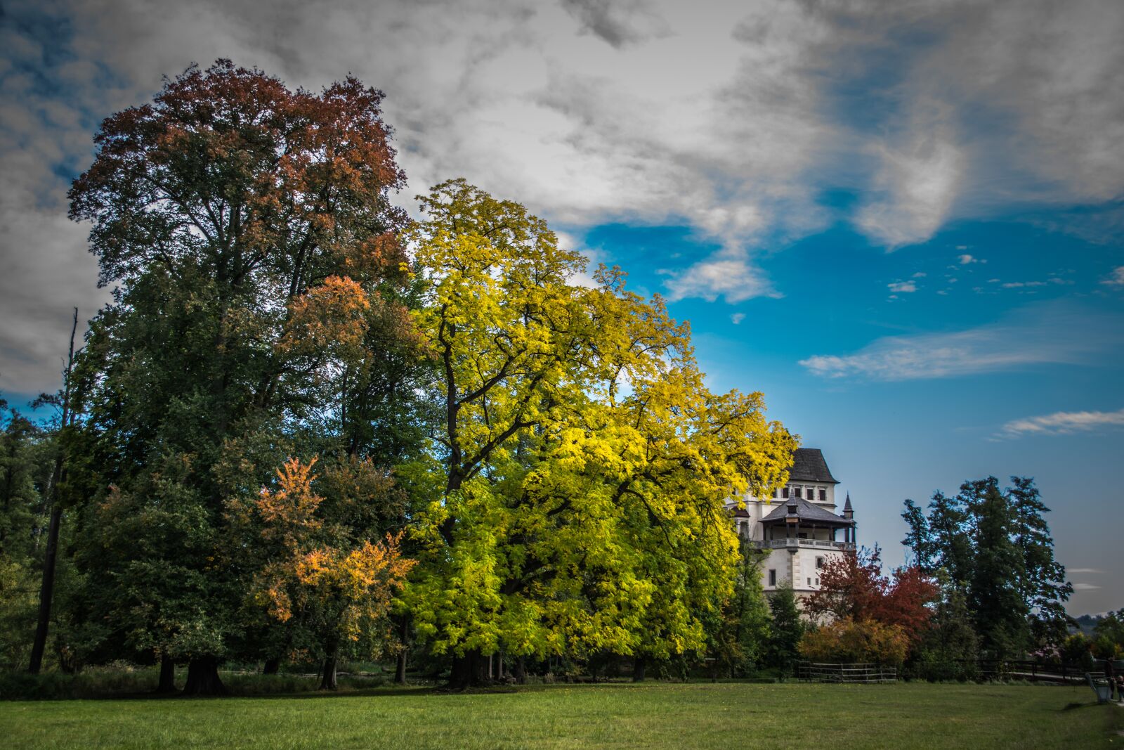 Nikon D5300 sample photo. Autumn, trees, colorful photography