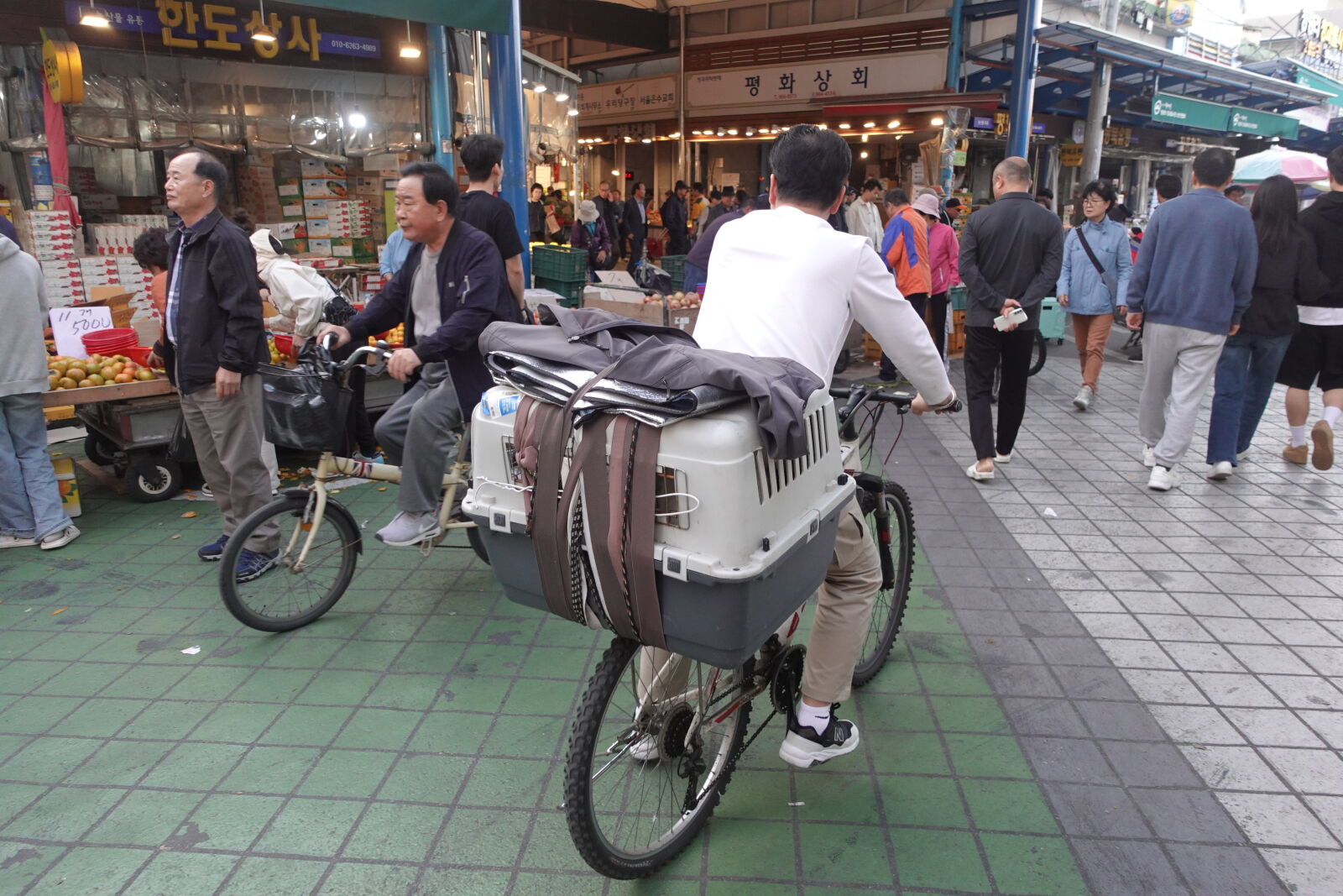 Sony ZV-1 sample photo