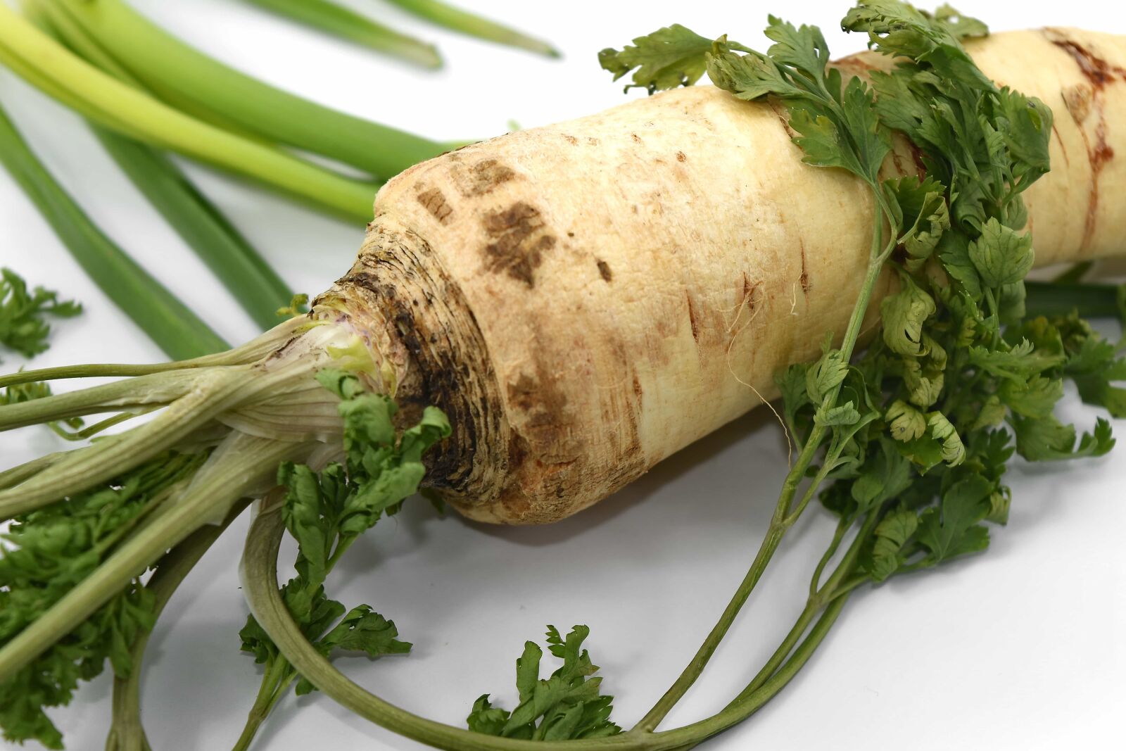 Nikon D5500 sample photo. Antioxidant, celery, green leaves photography