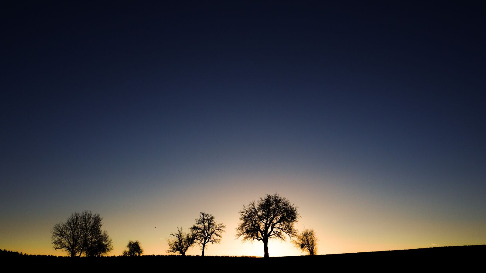 Olympus OM-D E-M10 II sample photo. Sunrise, tree, landscape photography