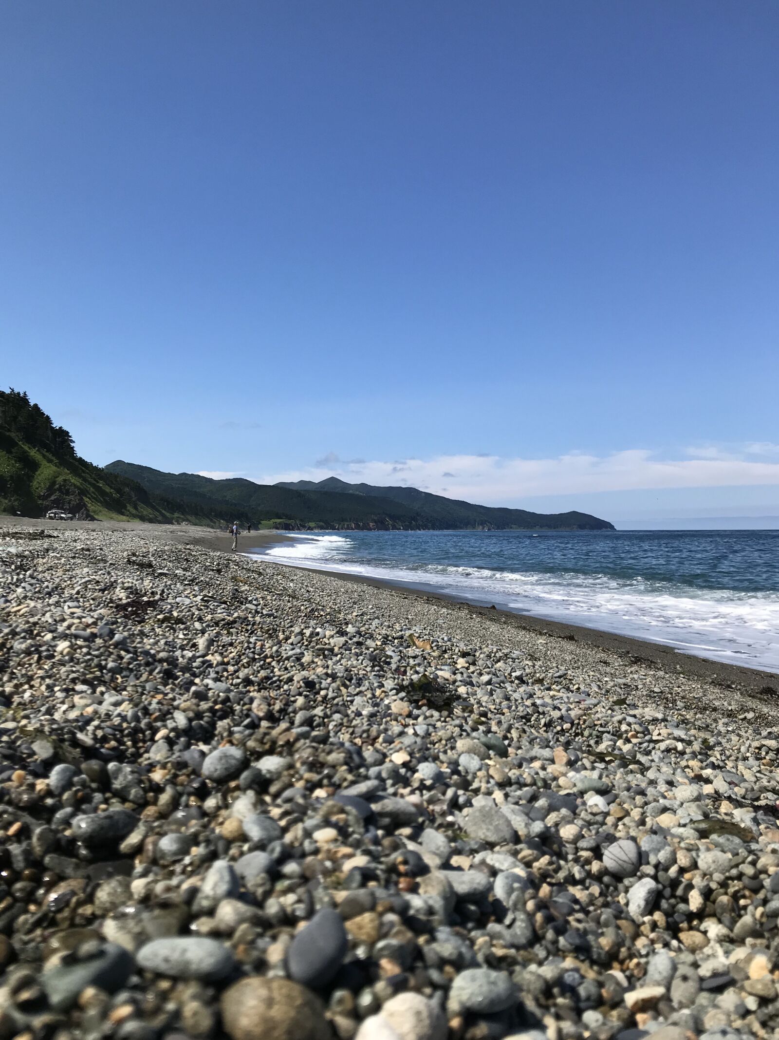iPhone 7 back camera 3.99mm f/1.8 sample photo. Sea, ocean, animals photography