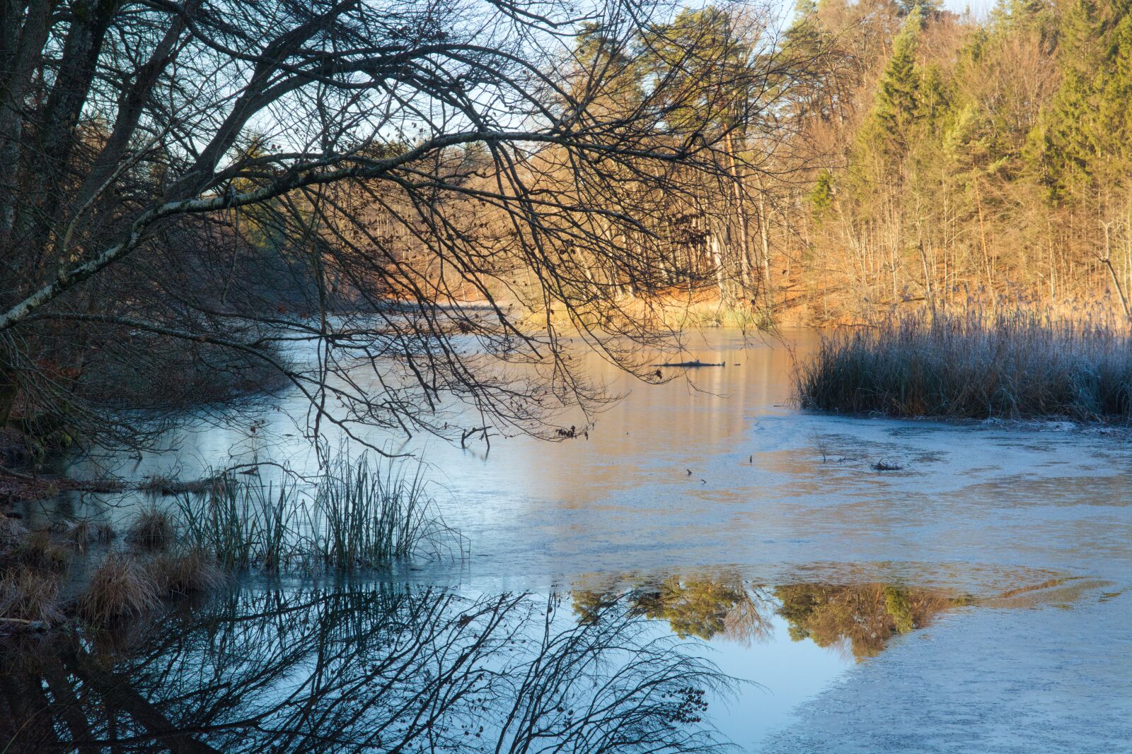 Nikon D7100 sample photo. Waters, water, autumn photography