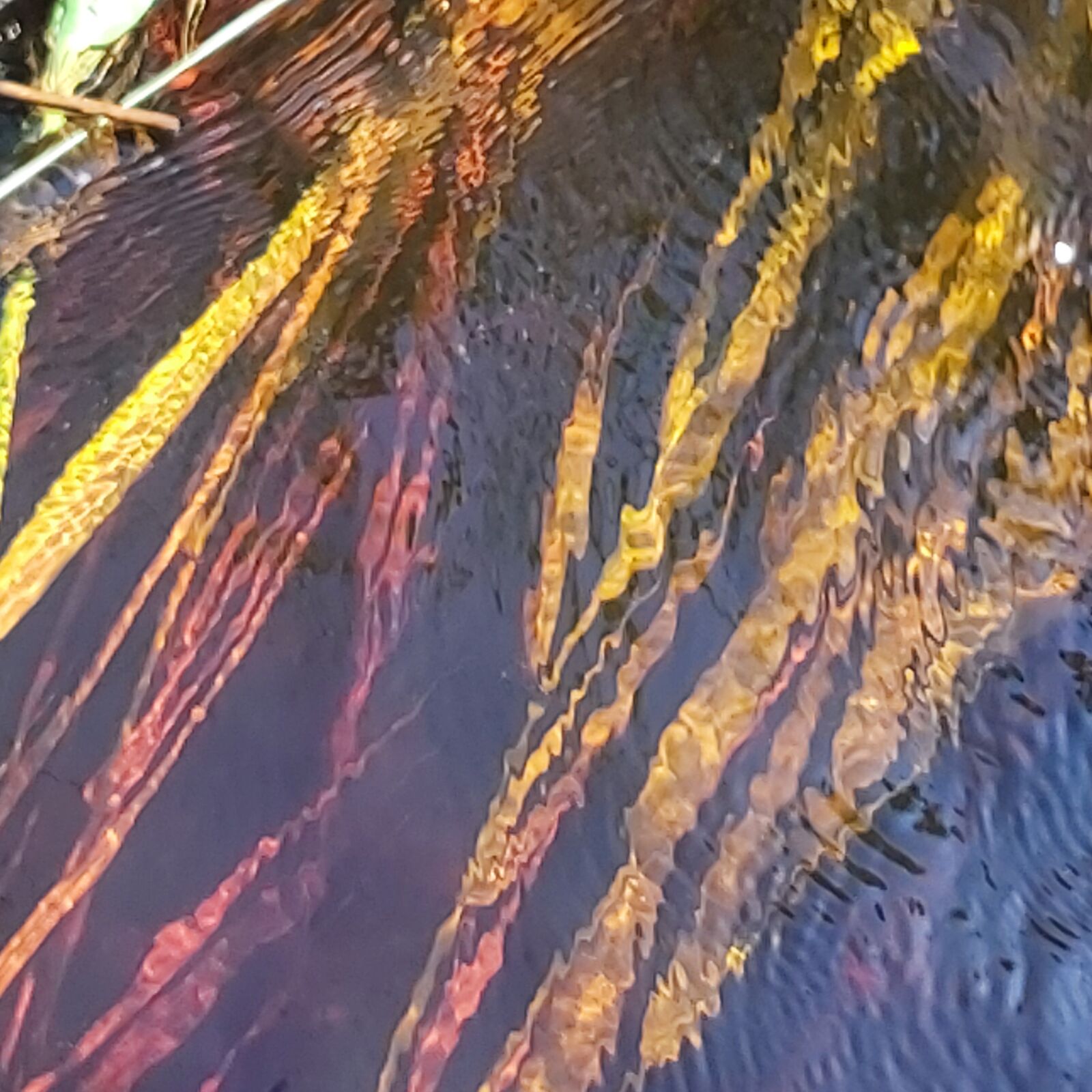 Samsung Galaxy A70 sample photo. Nature, water, bach photography