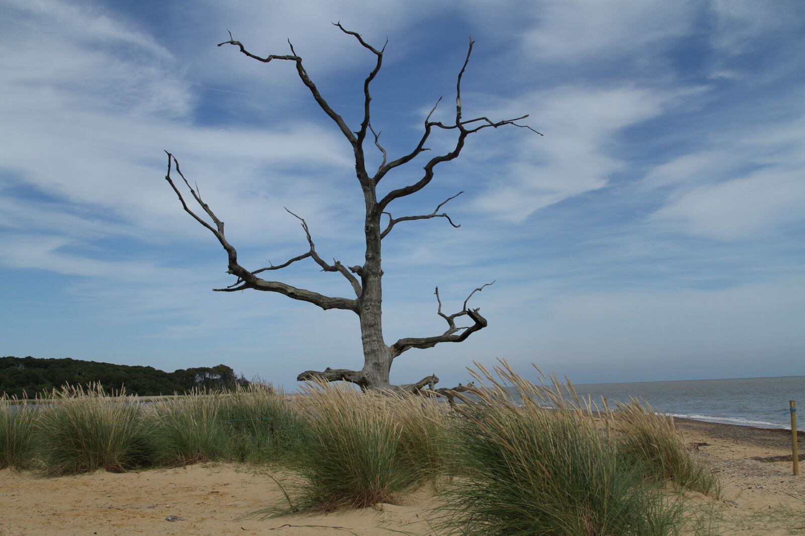 Canon EOS 7D + Canon EF 24-105mm F4L IS USM sample photo. Norfolk, beach, marine photography