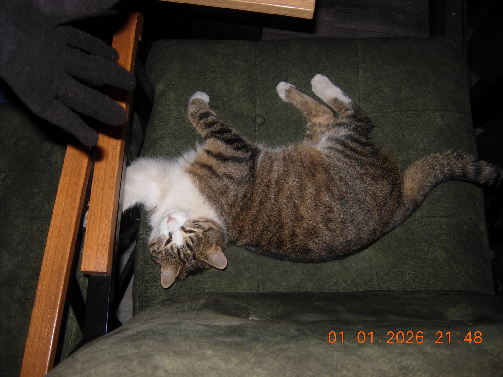 Nikon COOLPIX P4 sample photo