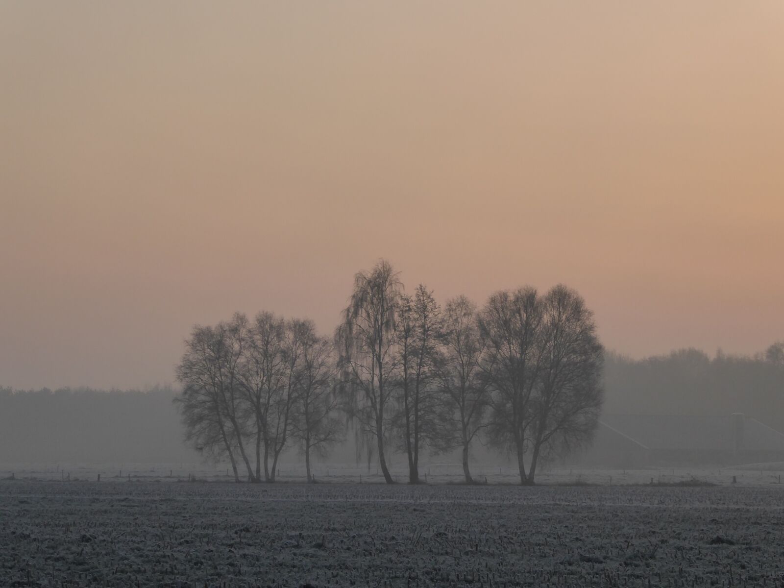 Panasonic Lumix DMC-ZS50 (Lumix DMC-TZ70) sample photo. Trees, landscape, winter photography