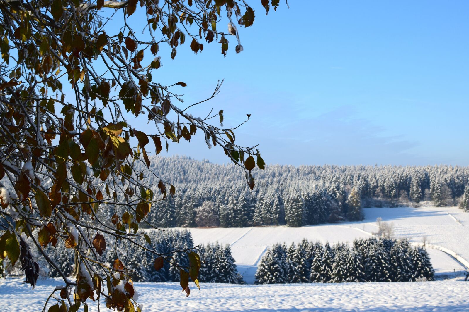 Nikon D5300 sample photo. Wintry, hohegeiß, snow photography