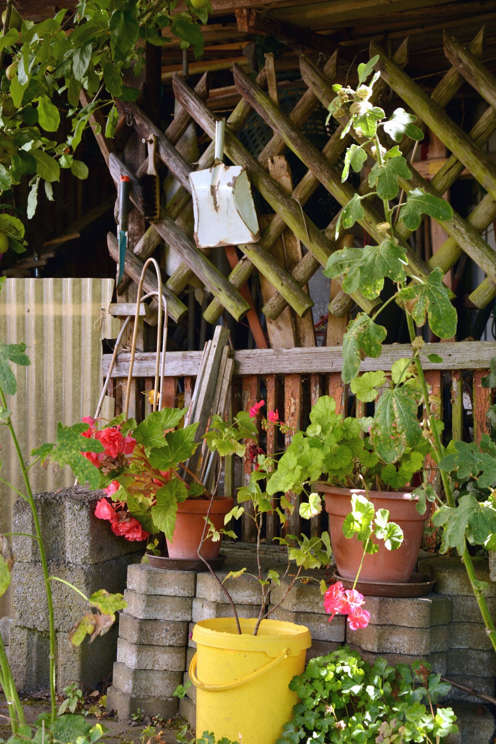 Nikon D5200 sample photo. Pot, flower, fence, wood photography