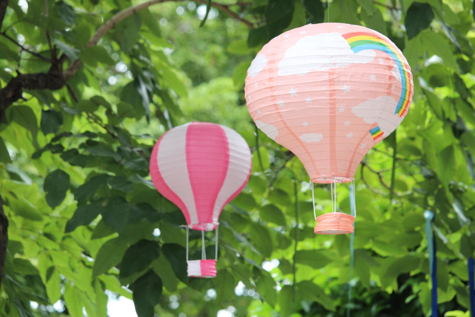 Canon EOS 1300D (EOS Rebel T6 / EOS Kiss X80) sample photo. Balloon, pink, azure photography