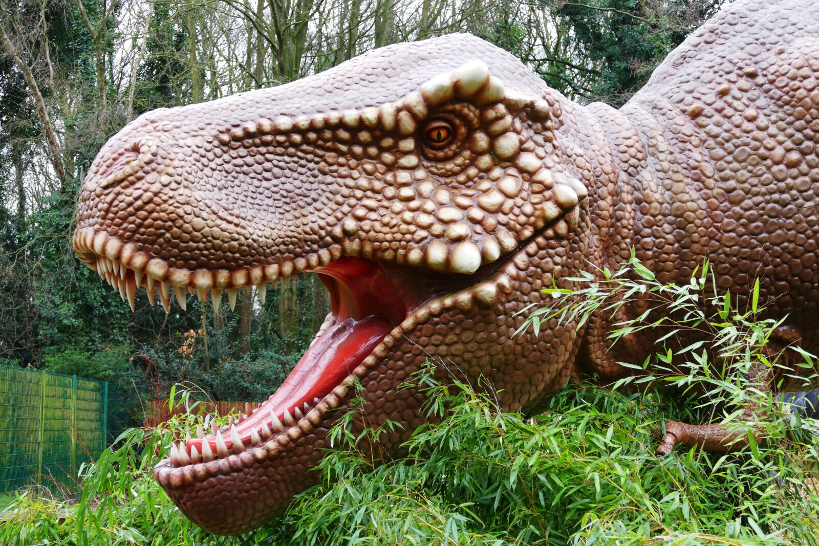 Panasonic Lumix DMC-FZ1000 sample photo. Dinosaurs, prehistoric, jurassic photography