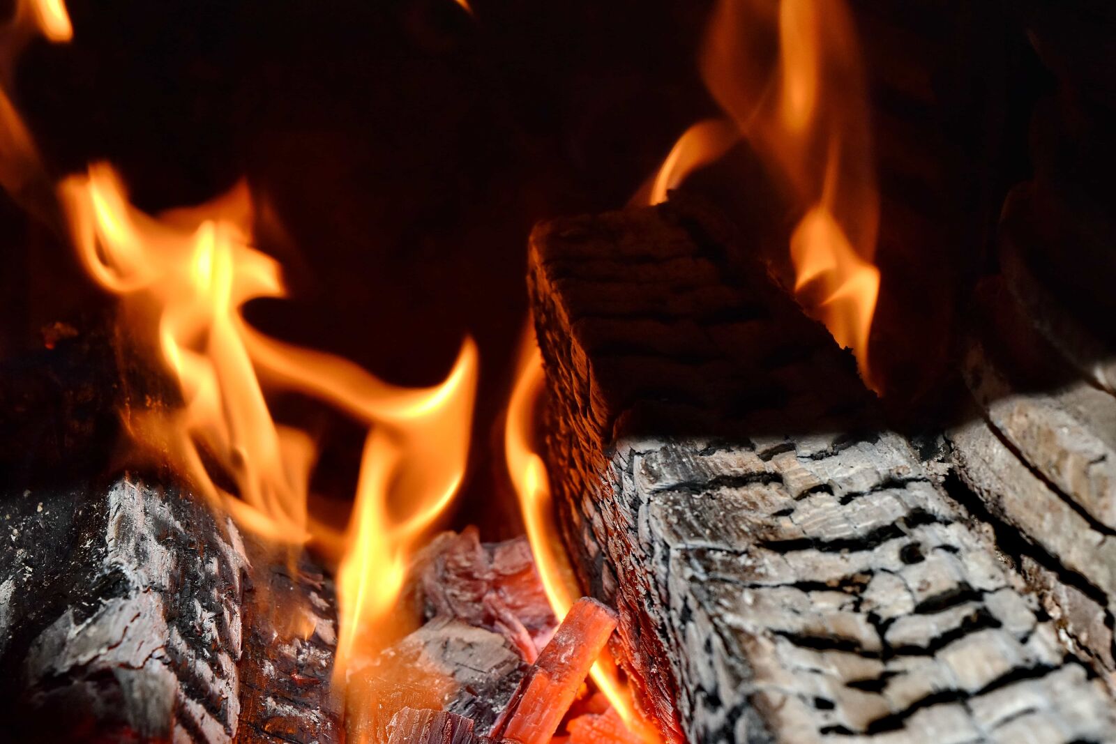 Nikon D5500 sample photo. Darkness, fire, firewood, flames photography