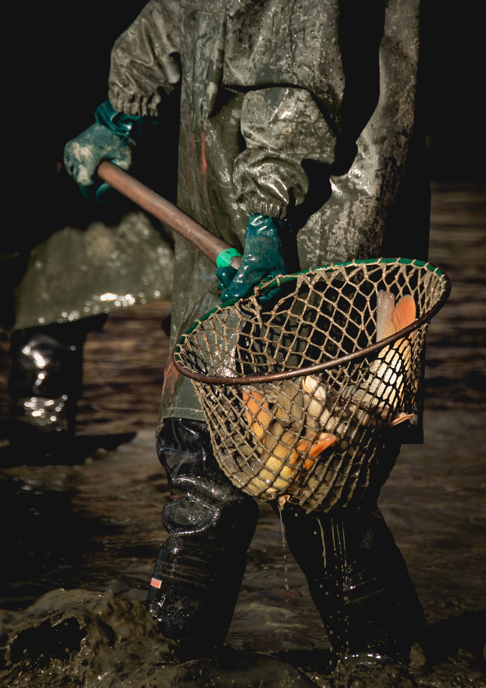 Canon EOS 100D (EOS Rebel SL1 / EOS Kiss X7) sample photo. Harvesting, pond, fish photography