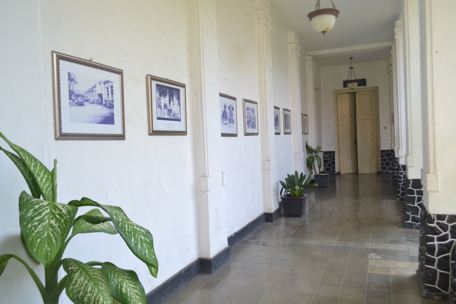 Nikon D3100 sample photo