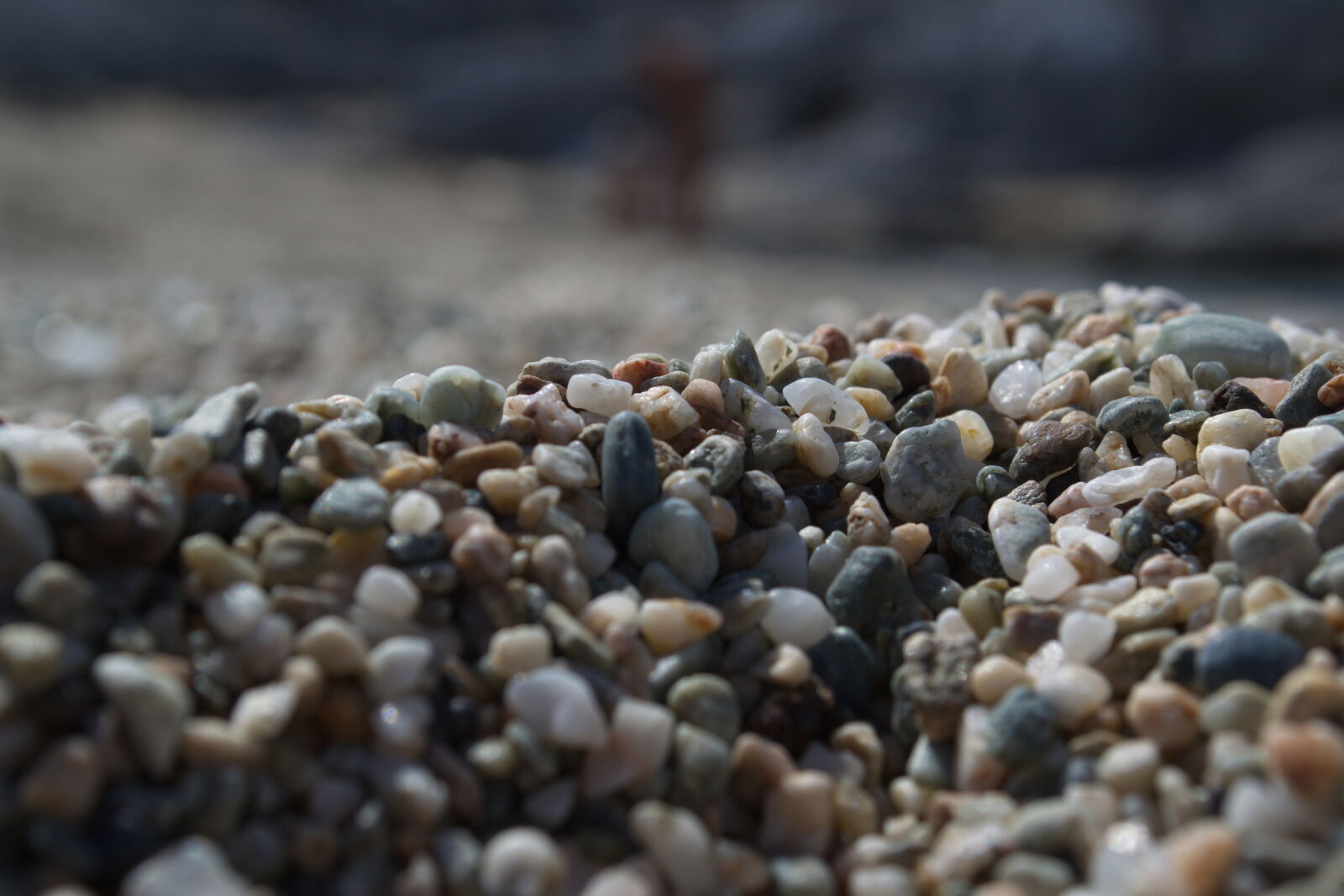 Nikon D3100 sample photo