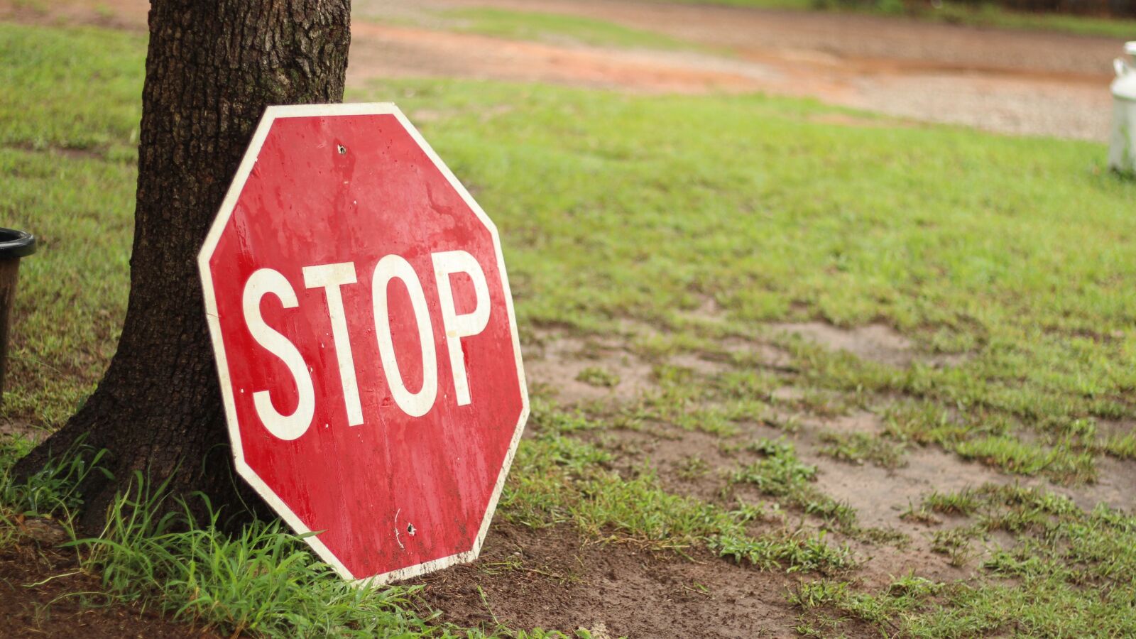 Canon EF 50mm F1.8 STM sample photo. Stop, sign, red photography