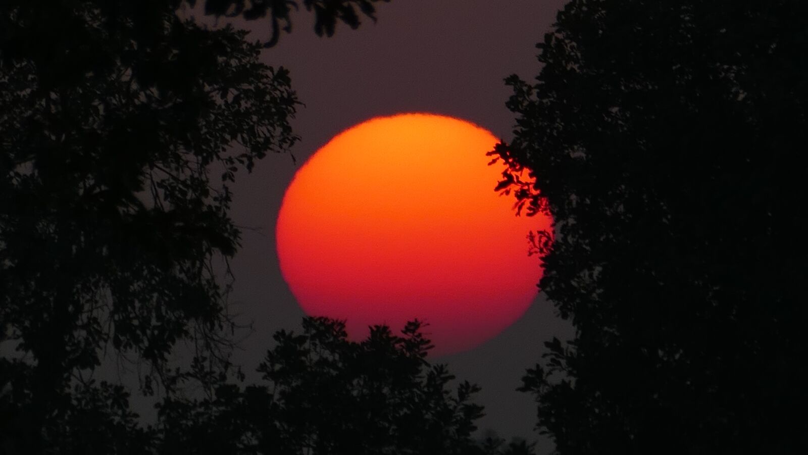 Panasonic Lumix DMC-FZ1000 sample photo. Sunset, red, sky photography