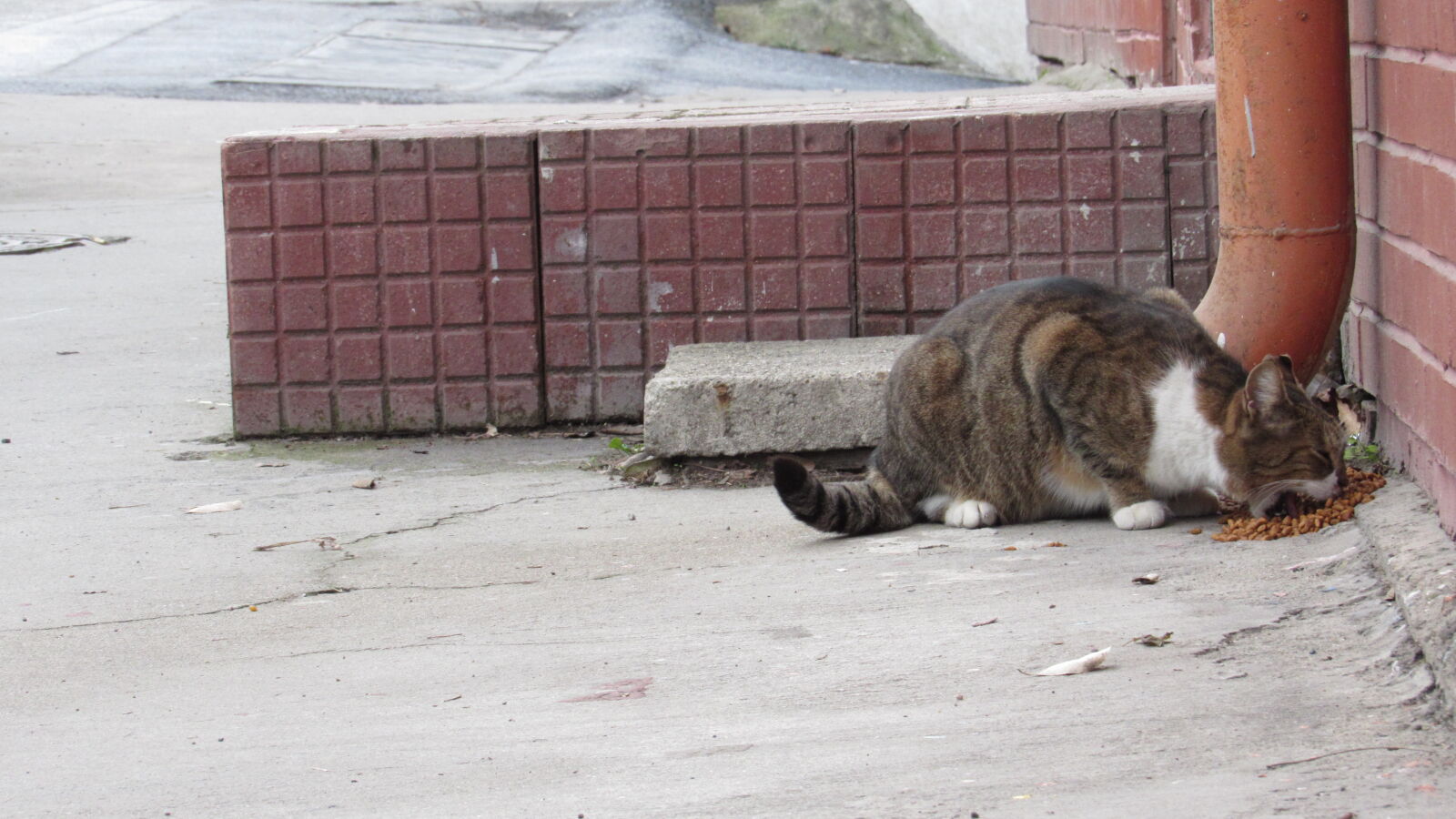 Canon PowerShot SX520 HS sample photo
