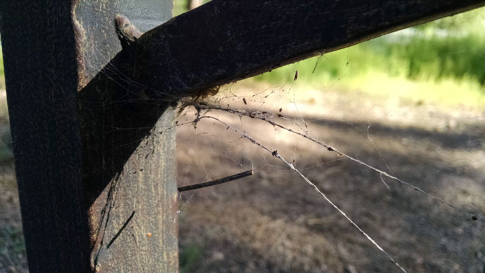 Motorola XT1080 sample photo