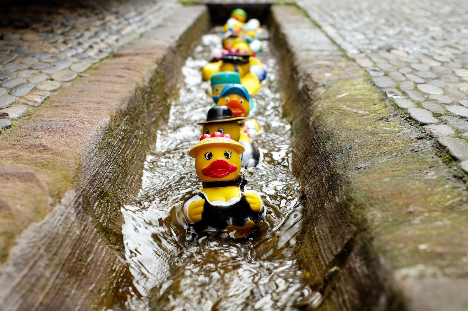 Fujifilm X-T10 + Fujifilm XF 35mm F1.4 R sample photo. Rubber duck, bath duck photography