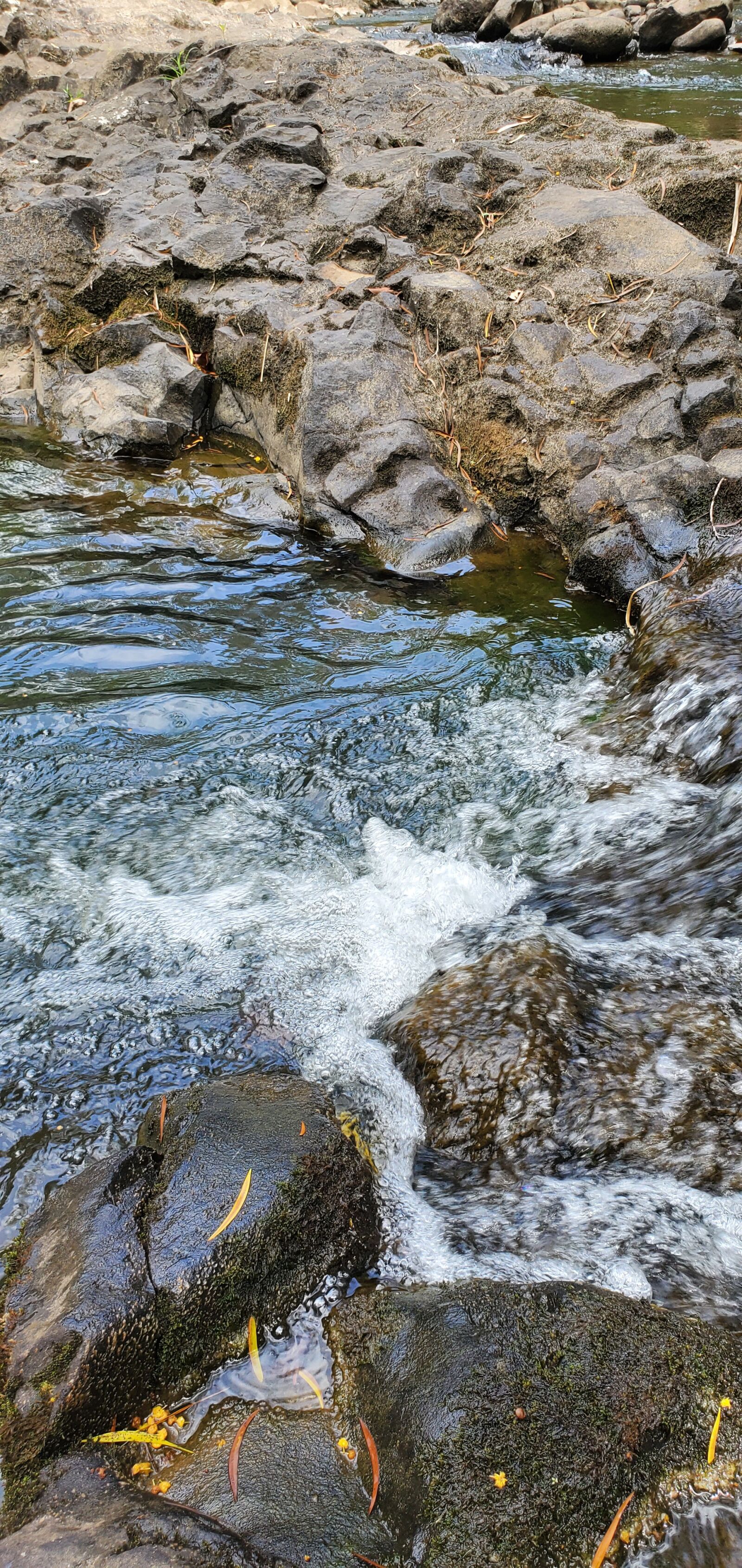 Samsung Galaxy S10 sample photo. Water, river, streams photography